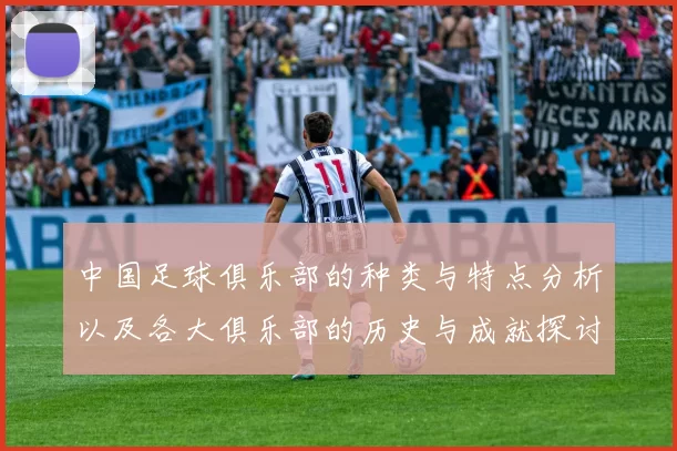 中国足球俱乐部的种类与特点分析以及各大俱乐部的历史与成就探讨
