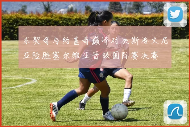 东契奇与约基奇巅峰对决斯洛文尼亚险胜塞尔维亚晋级国际赛决赛